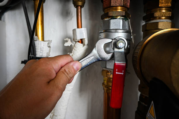 Best Same-Day Plumbing Service  in Cashton, WI